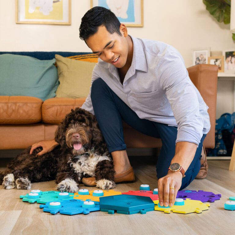 FluentPet talking dog buttons