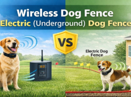 wireless dog fence versus electric dog fence