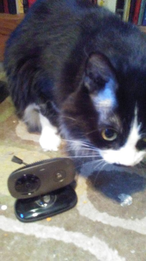 Horus and the camera