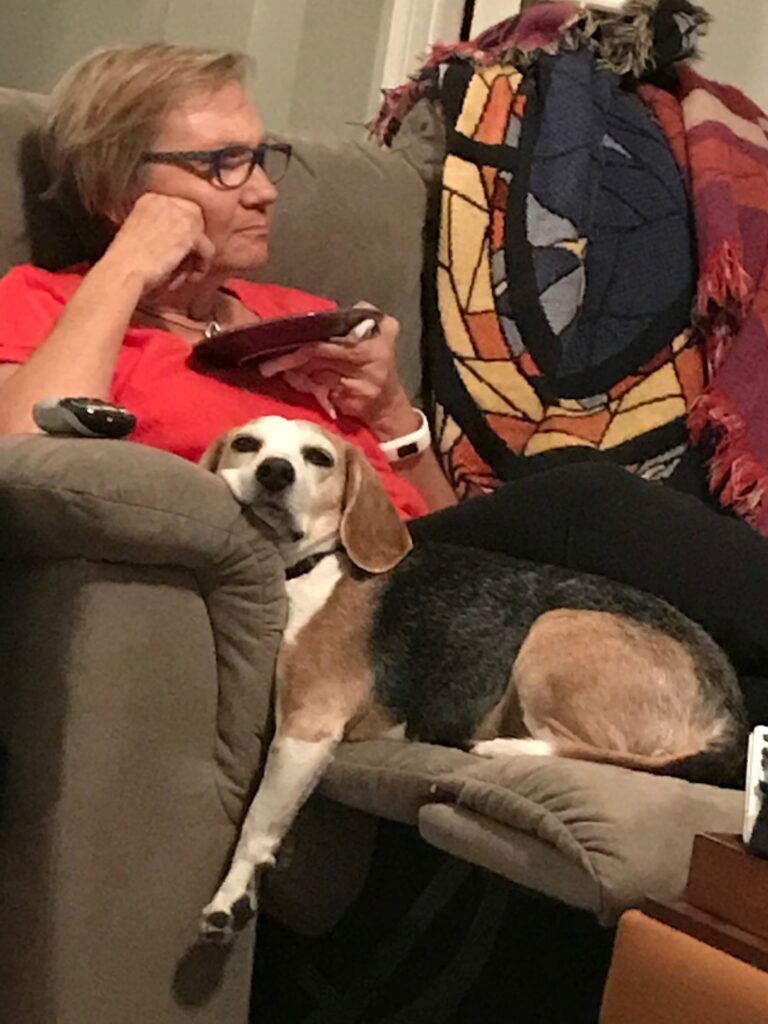 introvert Roxy