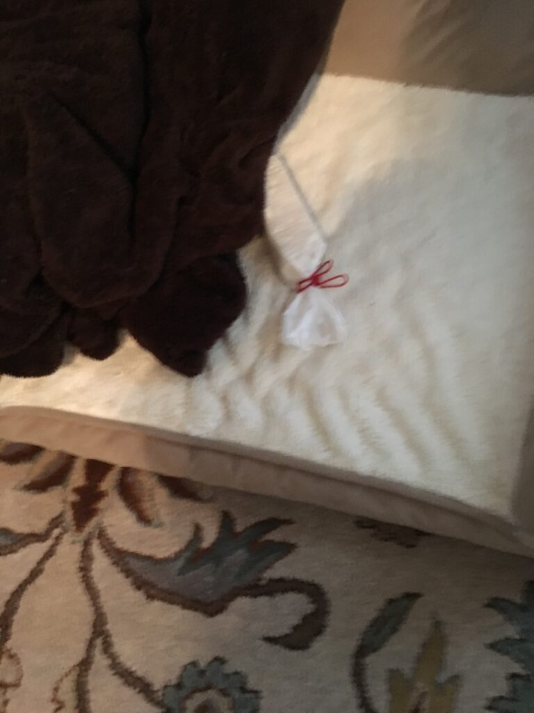 missing sleeve of crackers appears under the couch cushions