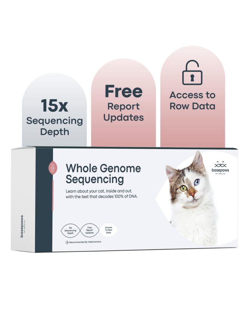 Basepaws Whole Genome Test kit