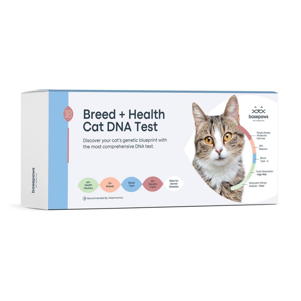 basepaws cat dna test