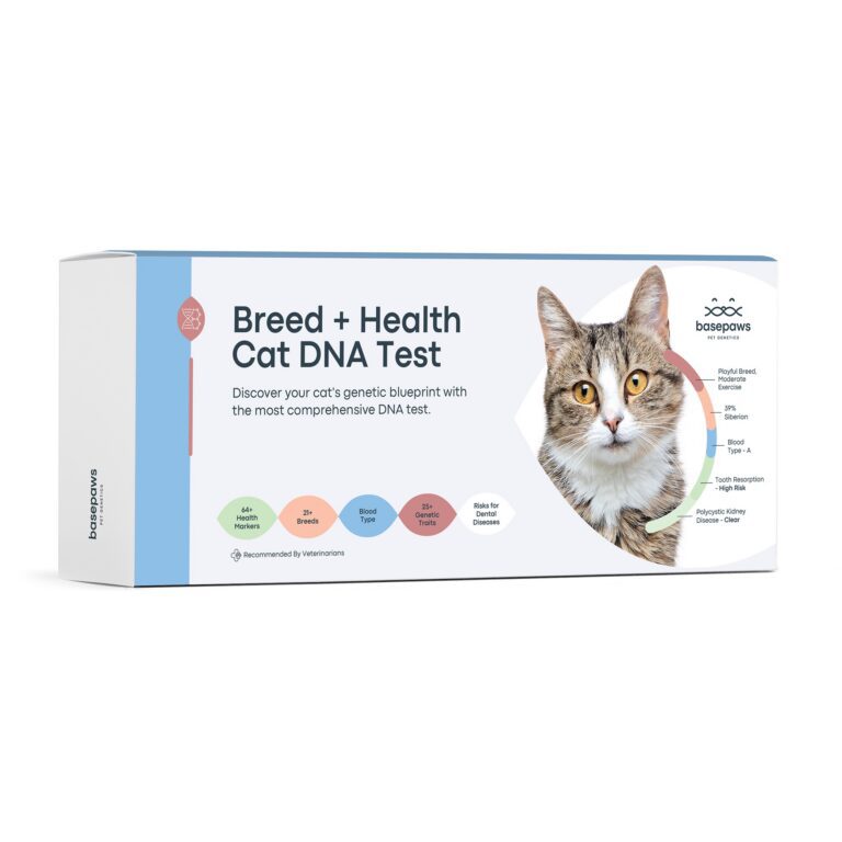 basepaws cat dna test