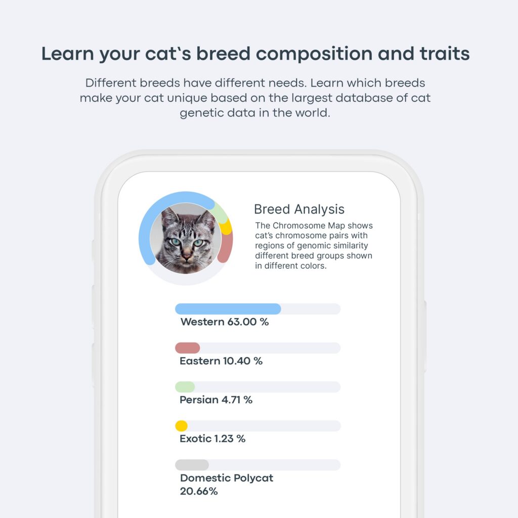 Basepaws cat dna test breed composition and traits