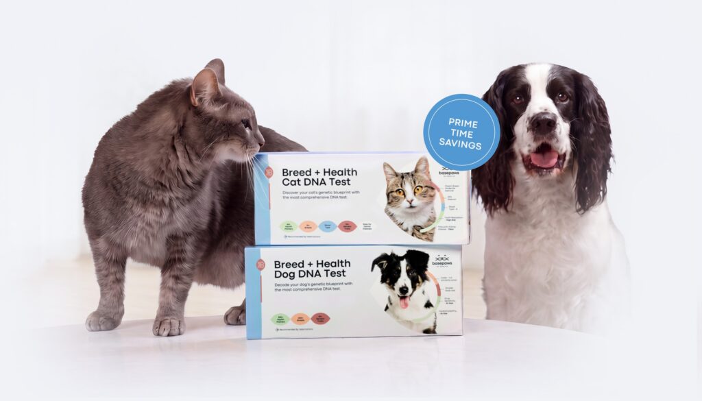Cat DNA test versus Dog DNA test from Basepaws