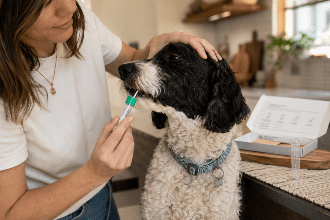 Pet DNA Tests Guide woman collecting DNA sample from her pet
