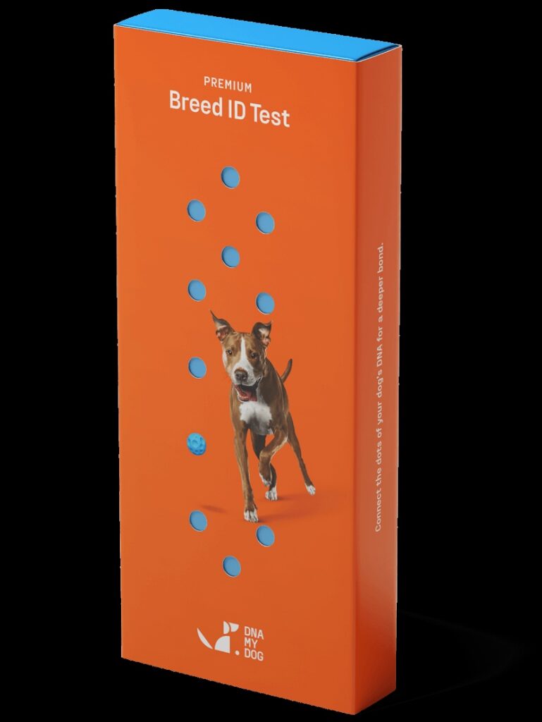 DNA My Dog Premium Breed ID Test Kit