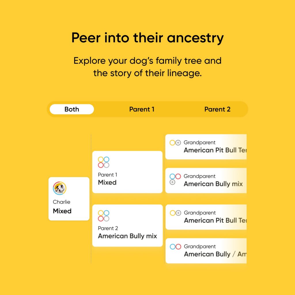 bark dog dna test ancestry result