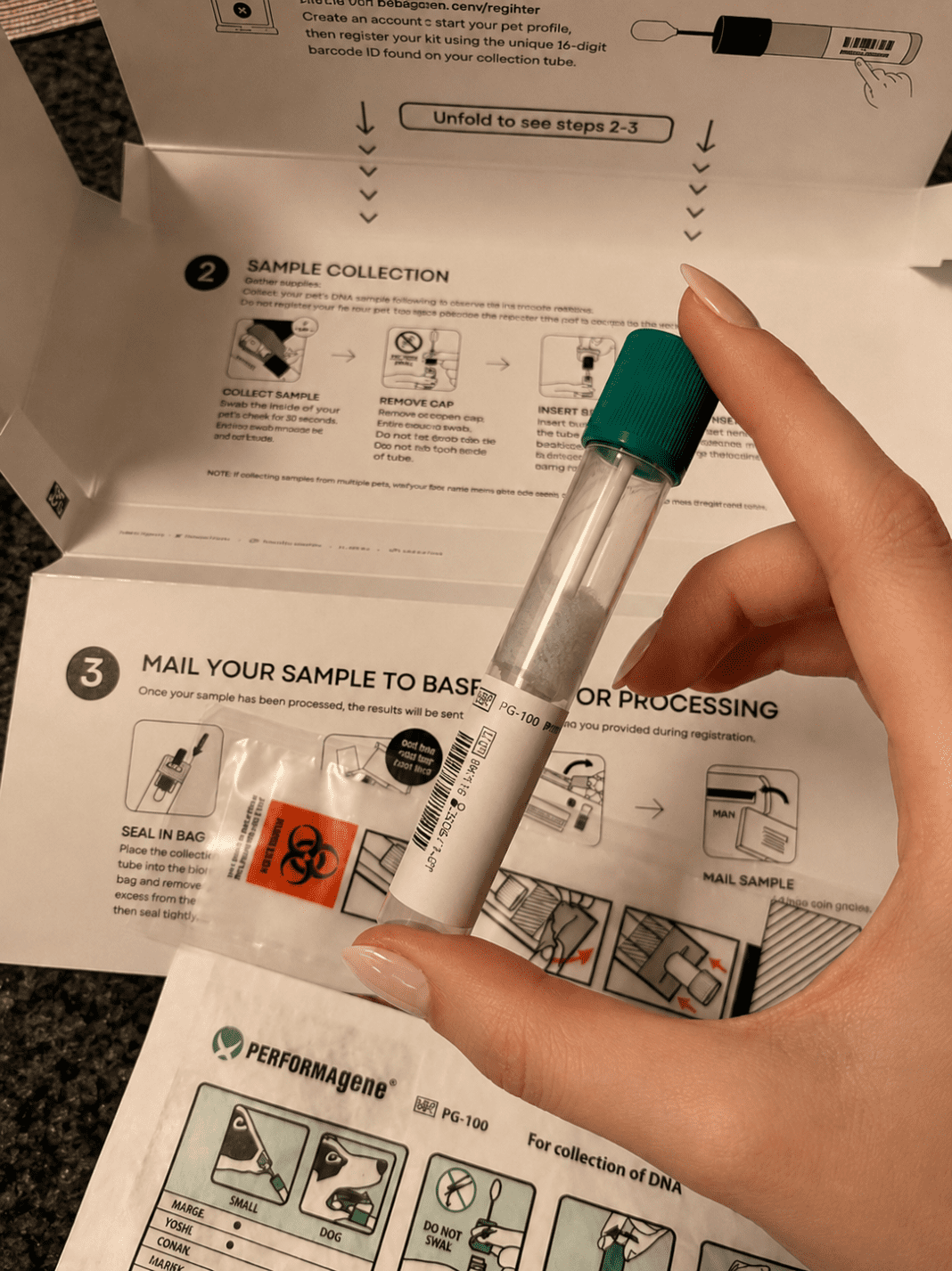 at home dog dna test sample collection swab