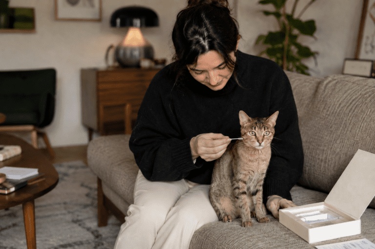 woman tests her tabby cat with a cat dna test