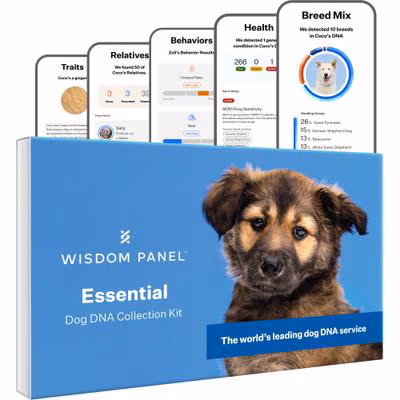 Wisdom Panel Essential Dog DNA Collection Kit
