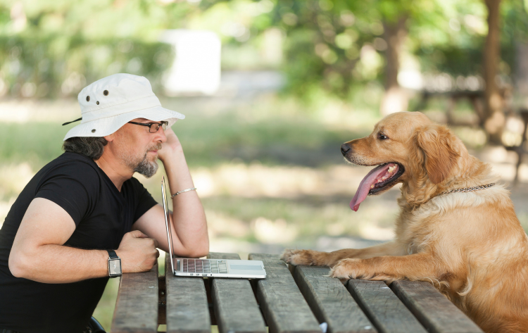 guy helps dog pick pet gadgets