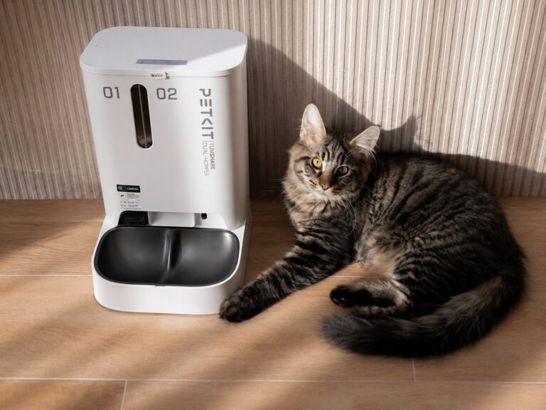 Cat sits with PETKIT