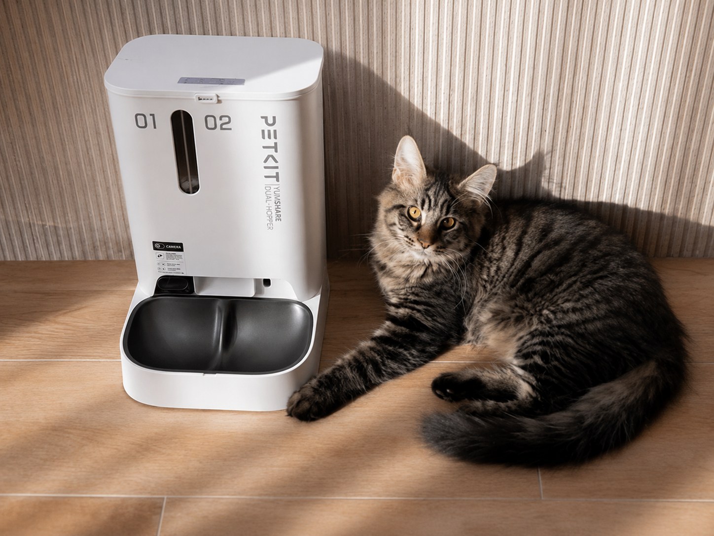 PETKIT Automatic Feeder Review