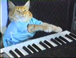 Fatso, the original Keyboard Cat playing the piano in a blue shirt