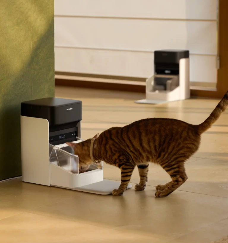 Petlibro rfid feeder