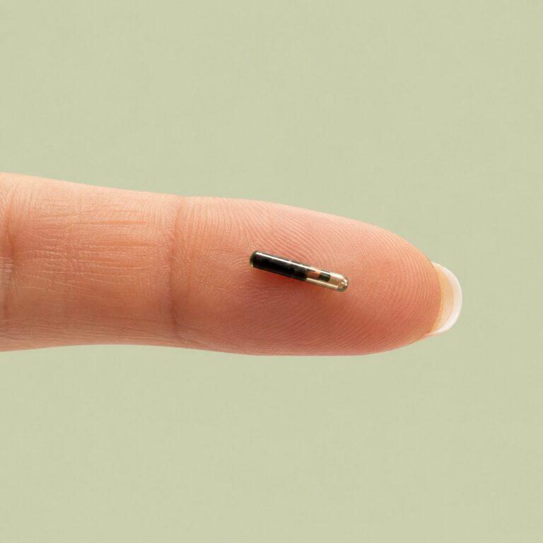 pet microchip on a finger showing small size