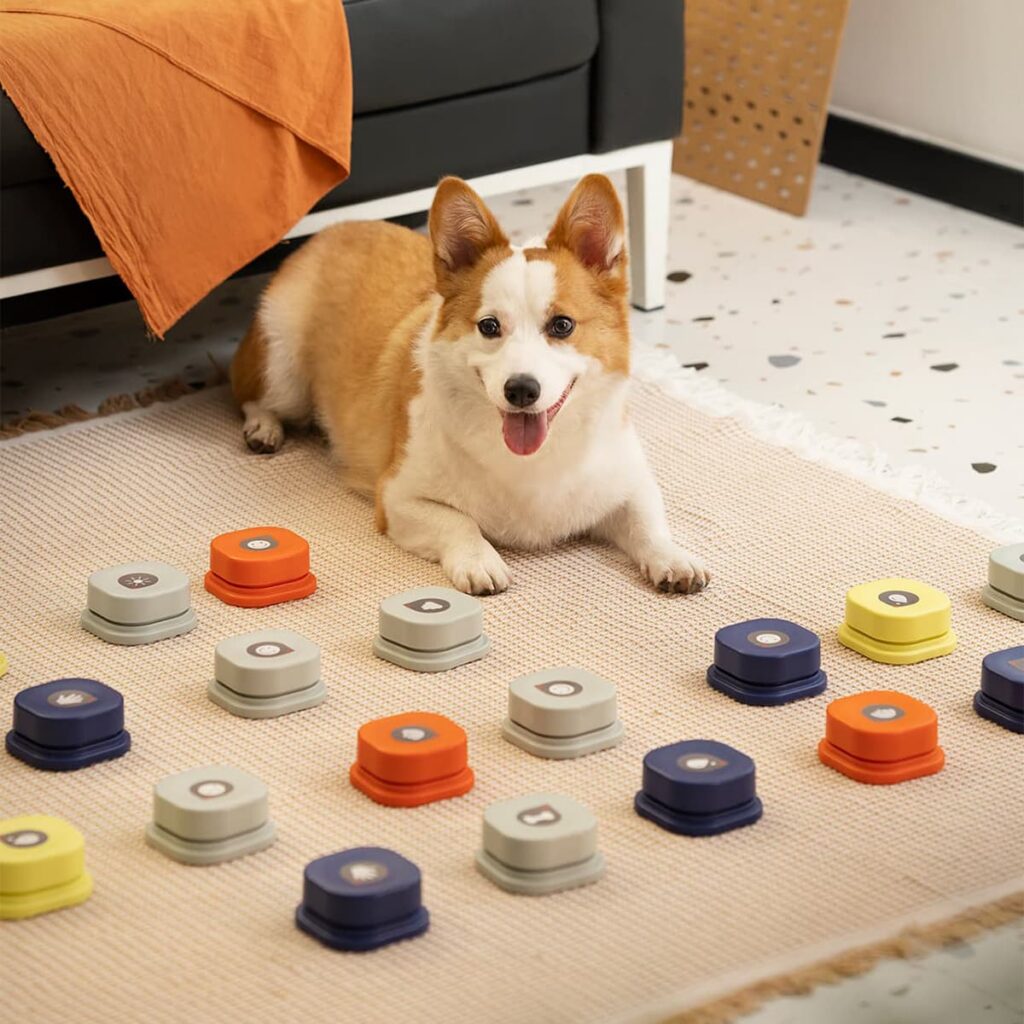 dog grows his soundboard for talking buttons as he learns