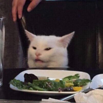 Smudge white cat looking at plate of vegetables