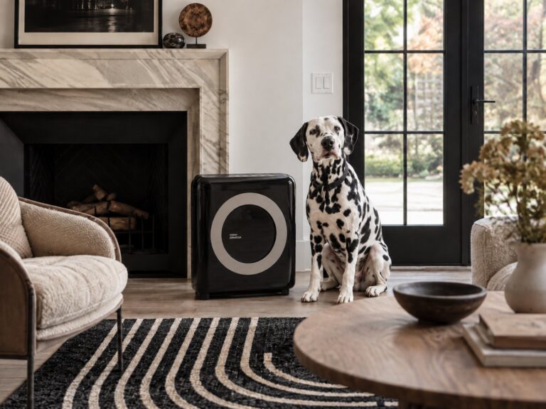 Air purifier safety pets ozone ionizers placement