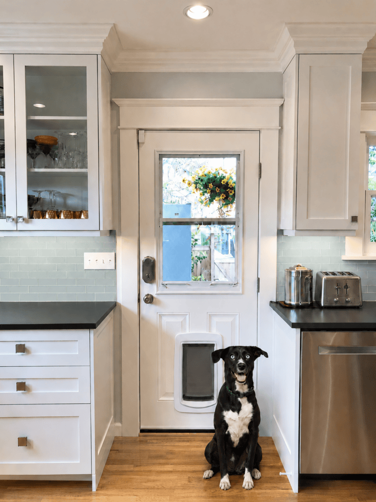 automatic pet door black mutt