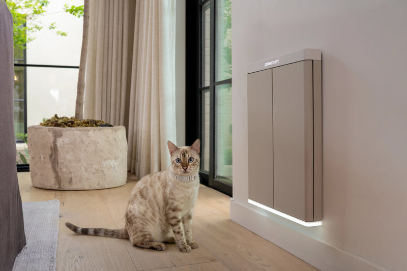 cat in front of Pawport Smart Cat Door