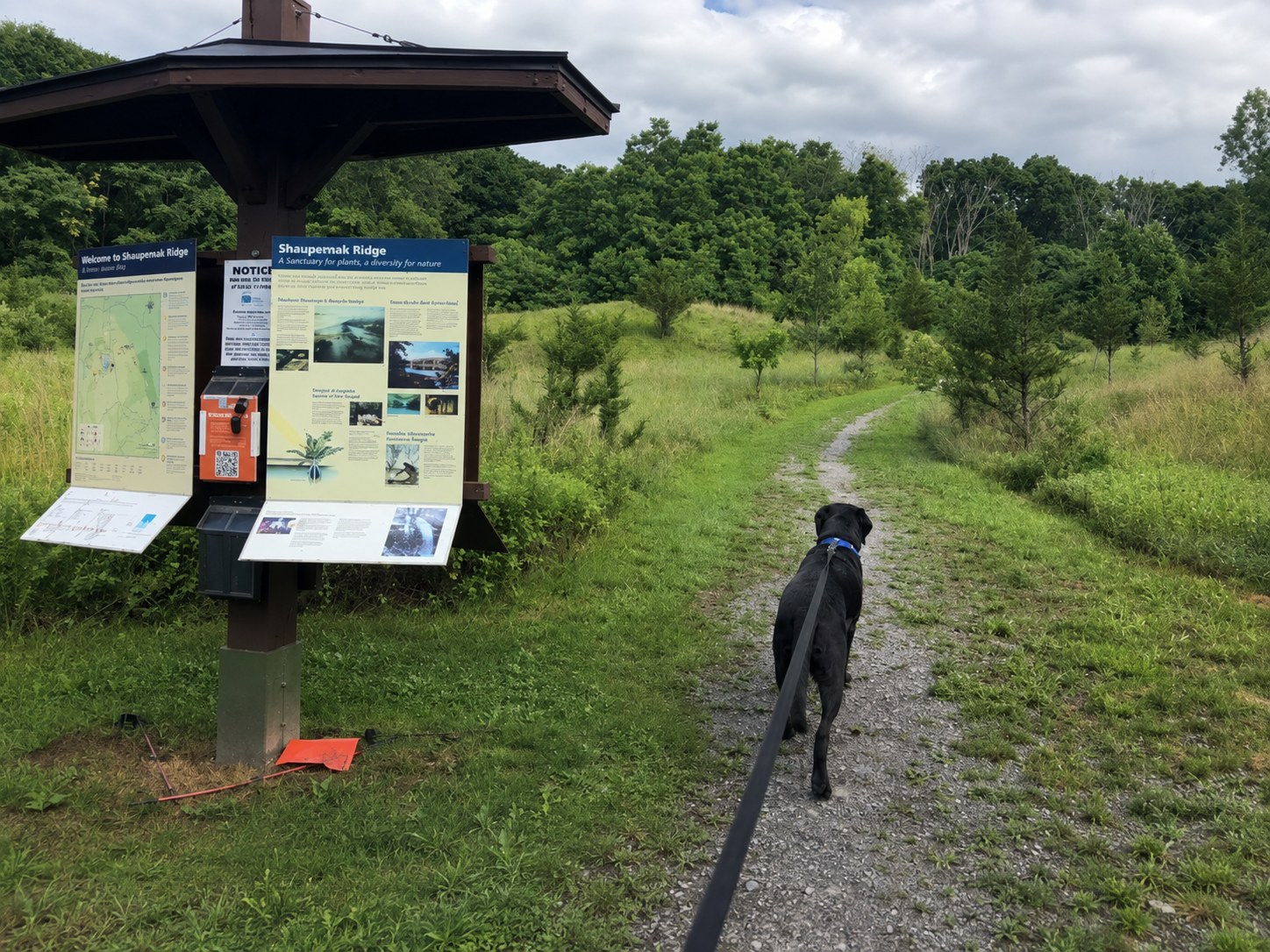 How my lost dog GPS Tracker saved the day when my dog Batman got lost on vacation