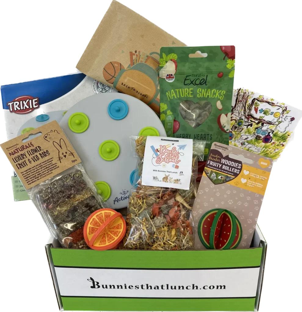 Bunnies That Lunch subscription box filled with rabbit treats, chews and an enrichment toy