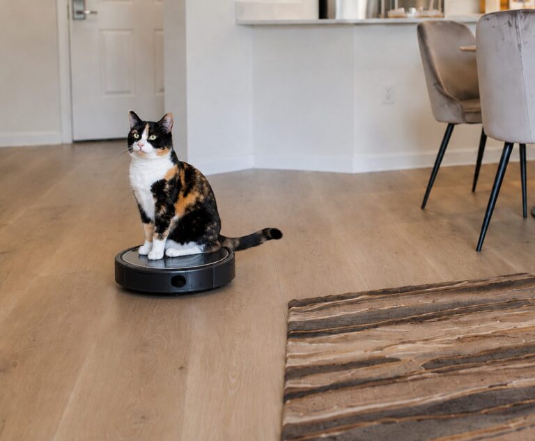 calico cat rides roomba pet vacuum