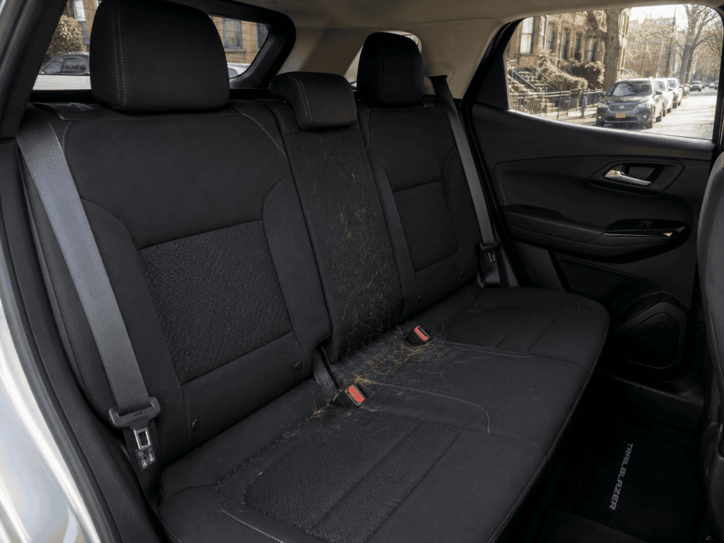 back seat of SUV covered in dog hair