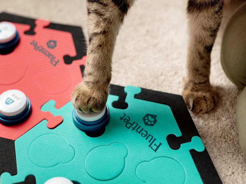 cat pushes Fluent Pet using Connect when human is out of the room