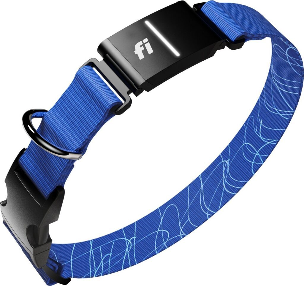 gps pet tracker fi series 3 on blue collar