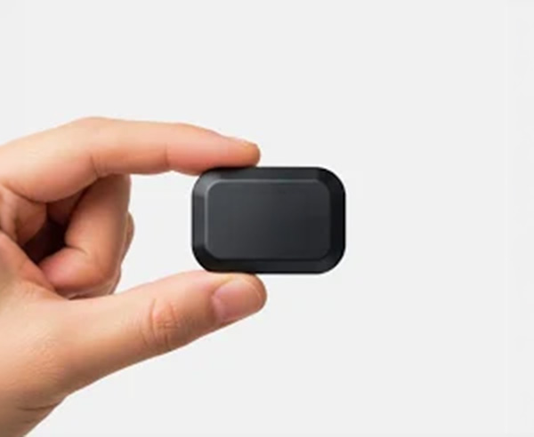 Can You Track a Microchipped Cat or Dog? Chip vs GPS Reality