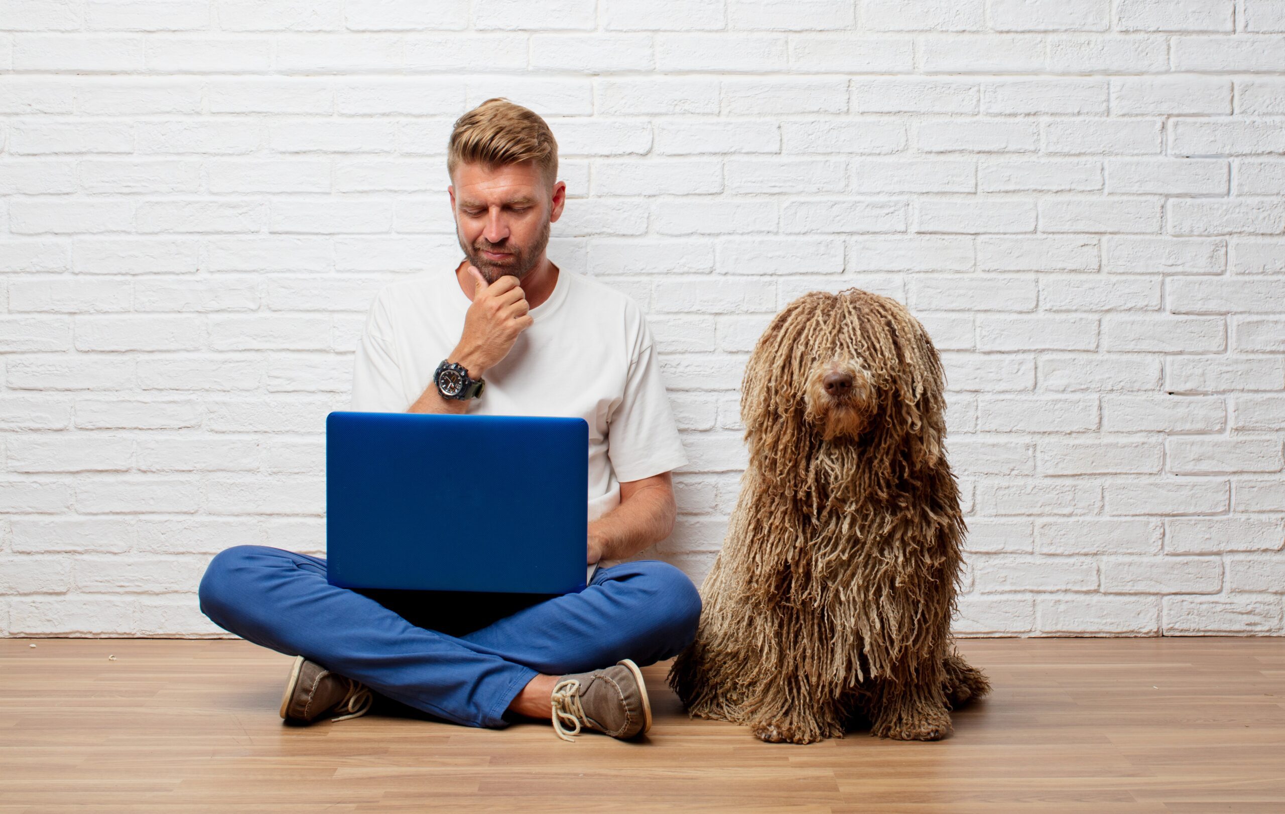 Best Dog Gadgets: Smart Tech for Safer Adventures, Happier Routines, and More Fun