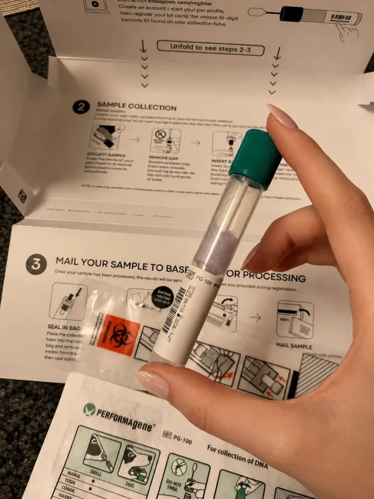 at home dog dna test sample collection swab