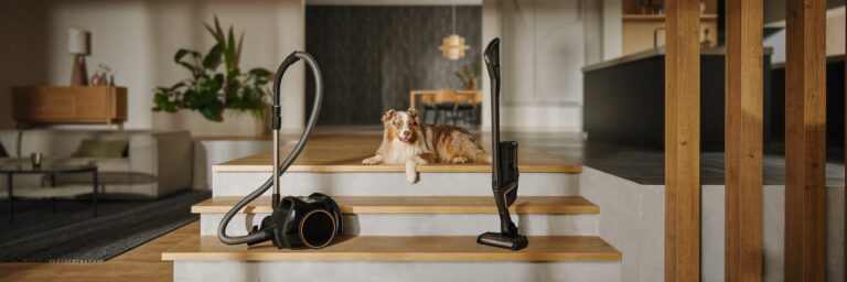 Best Miele vacuums for cats and dogs