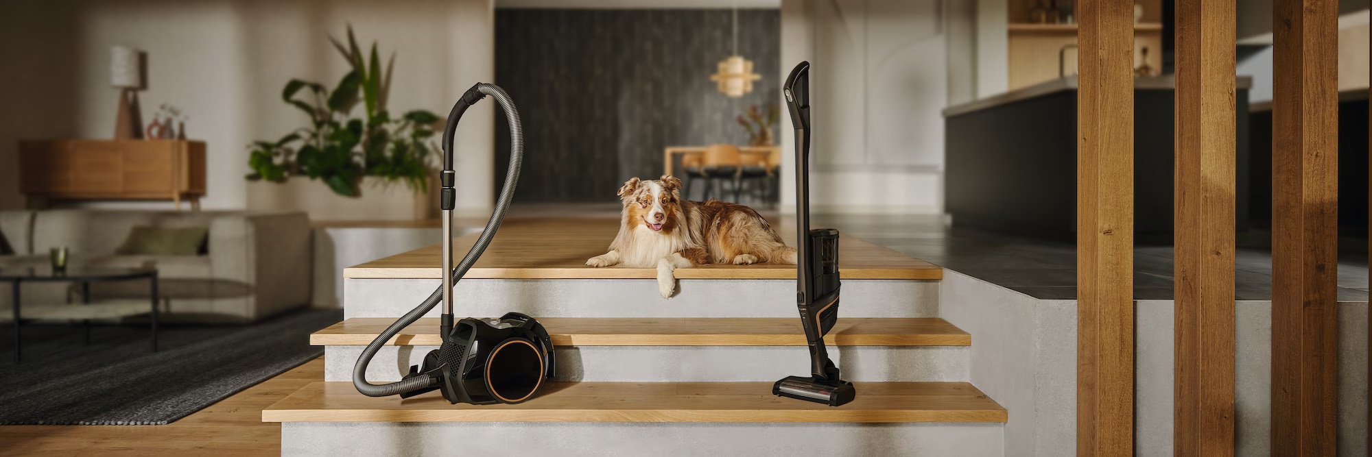 Best Miele vacuums for cats and dogs