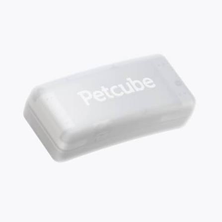 petcube pet activity tracker device