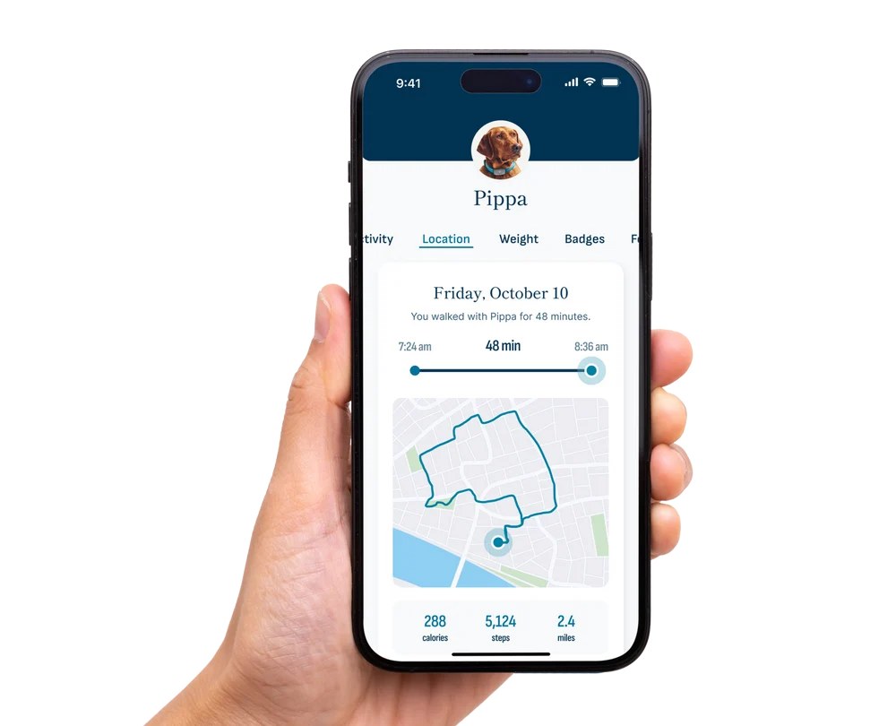 petivity gps tracker app showing map