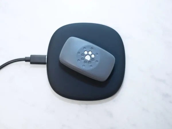 petivity gps tracker sitting on charging mat