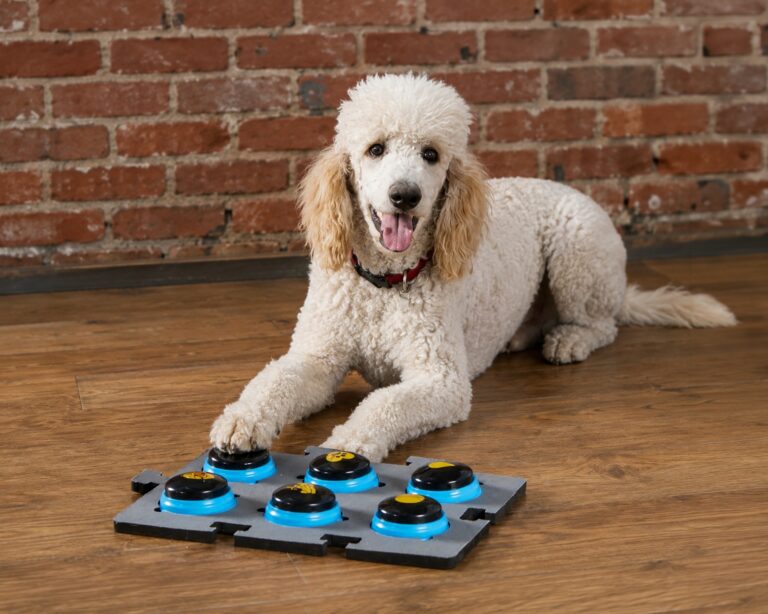 Hunger for Words Talking Dog Buttons