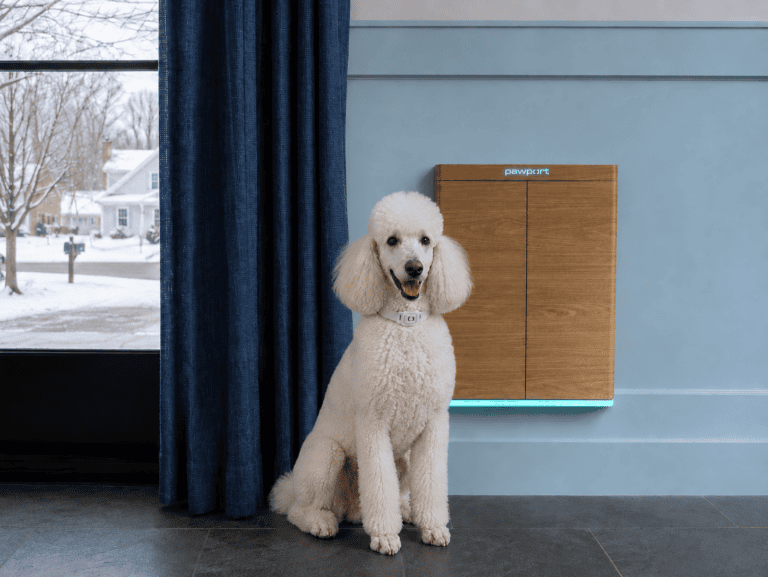 poodle next to Pawport best large dog pet door with app control