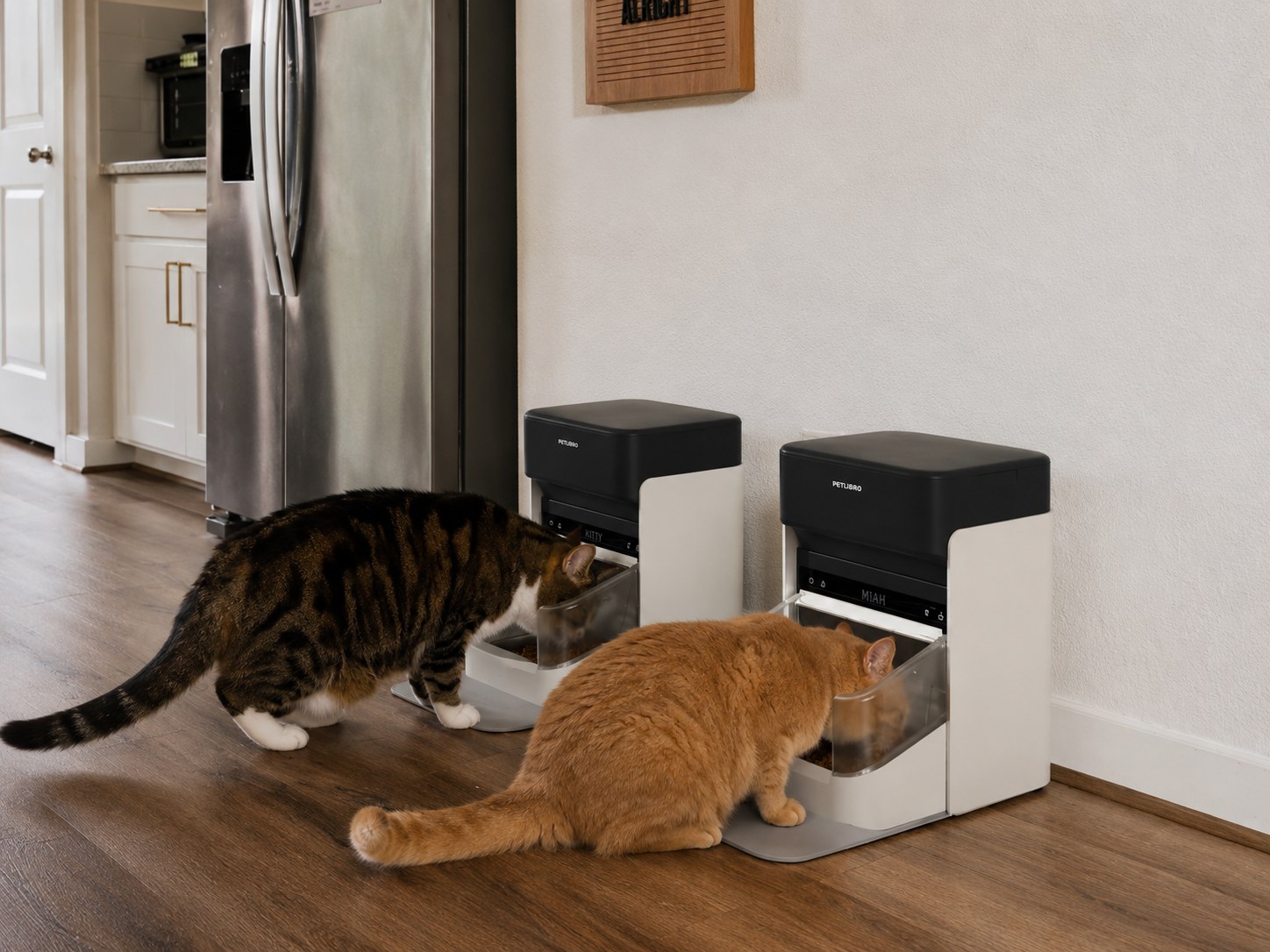 Best Automatic Cat Feeders for Multiple Cats: RFID and Dual-Bowl Options