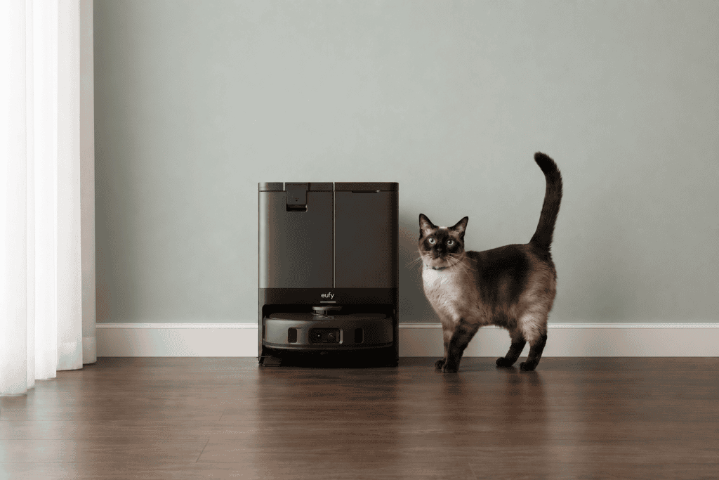 siamese cat with eufy robot vaccum
