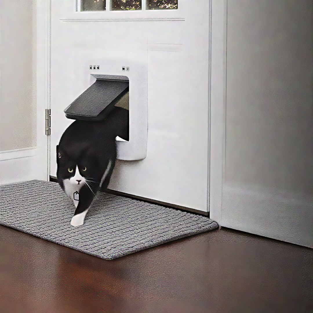 PetSafe Smart Door and Electronic Pet Door Review