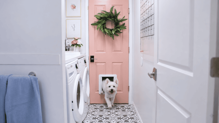 white dog is happy to enter the house through smart automatic electronic pet door
