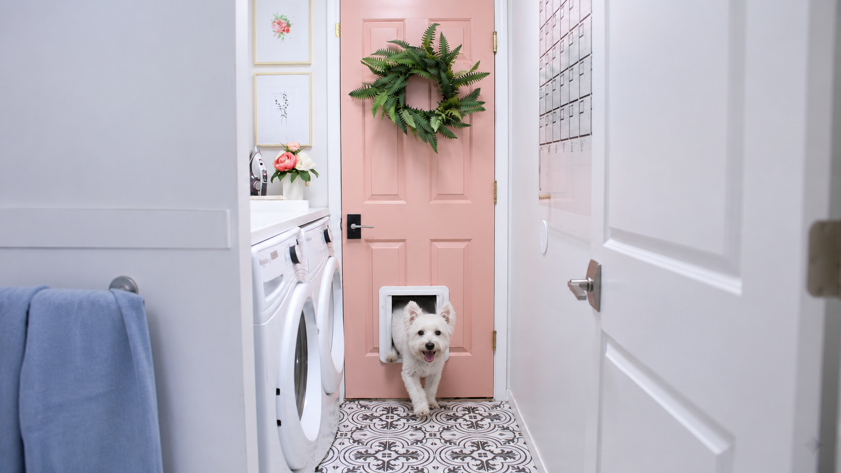 Automatic vs Electronic vs Smart Pet Doors: What Each Term Means