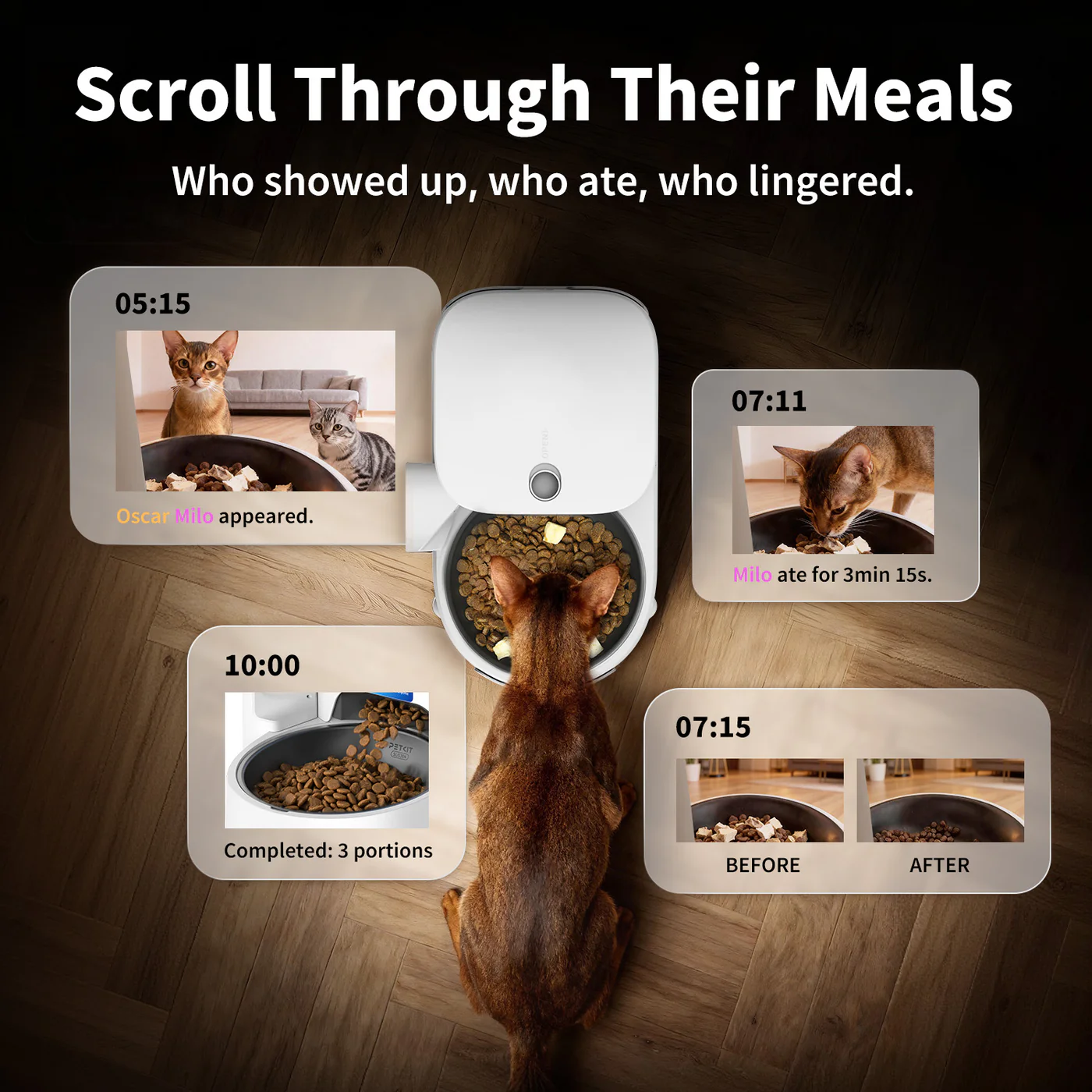 Automatic Pet Feeder with Camera: Monitoring Can Make You a Better Pet Parent